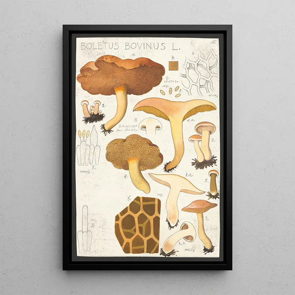 Boletus bovinus L - Hans Baldung — kehystetty taideteos seinällä