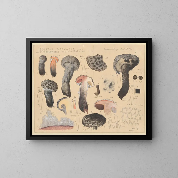 Boletus floccopus ja Strobilomyces strobilaceus - Hans Baldung — kehystetty taideteos seinällä