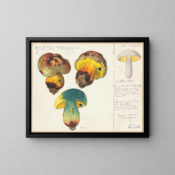 Boletus torosus - Hans Baldung — kehystetty taideteos seinällä