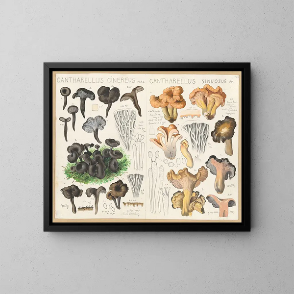Chanterelle cendrée Chanterelle sinueuse - Hans Baldung — kehystetty taideteos seinällä