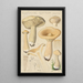 Clitocybe geotropa Bulliard - Hans Baldung — kehystetty taideteos seinällä