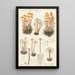 Mycena prolifera - Hans Baldung — kehystetty taideteos seinällä