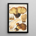 Paxillus atrotomentosus Batsch 2 - Hans Baldung — kehystetty taideteos seinällä