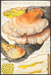 Polyporus sulfureus Bull Fr - Hans Baldung — näkymä teoksesta