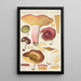 Russula alutacea Persoon - Hans Baldung — kehystetty taideteos seinällä
