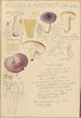 Russula amethystina - Hans Baldung — näkymä teoksesta