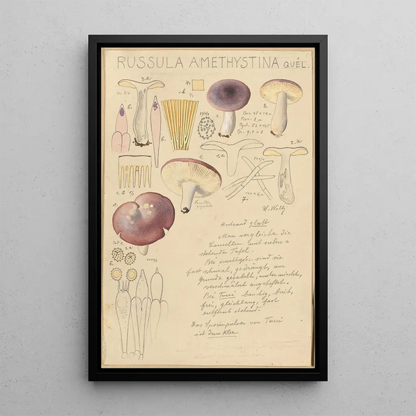 Russula amethystina - Hans Baldung — kehystetty taideteos seinällä