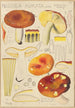 Russula aurata - Hans Baldung — näkymä teoksesta
