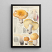 Russula constans - Hans Baldung — kehystetty taideteos seinällä
