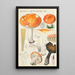 Russula decolorans Fr - Hans Baldung — kehystetty taideteos seinällä