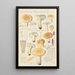 Russula fellea - Hans Baldung — kehystetty taideteos seinällä