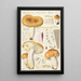 Russula foetens Pers - Hans Baldung — kehystetty taideteos seinällä