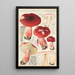 Russula linnaei - Hans Baldung — kehystetty taideteos seinällä