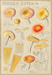 Russula lutea - Hans Baldung — näkymä teoksesta