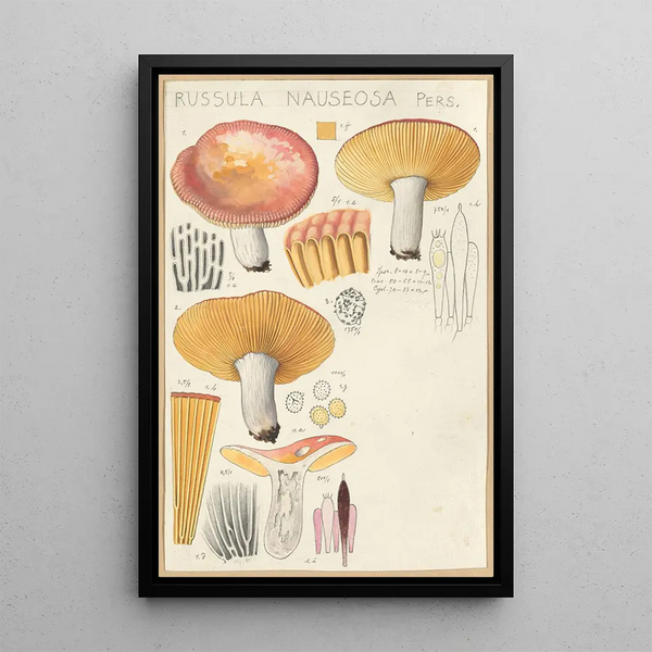 Russula nauseosa - Hans Baldung — kehystetty taideteos seinällä