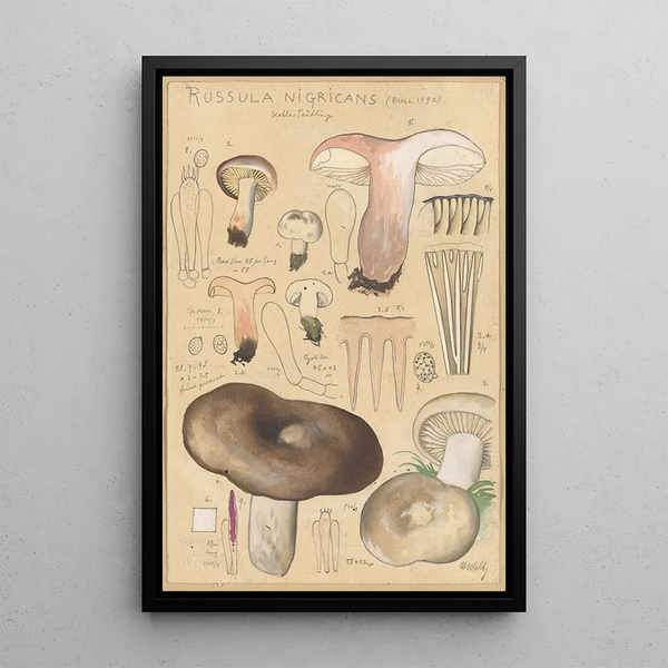 Russula nigricans - Hans Baldung — kehystetty taideteos seinällä