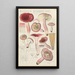 Russula rosacea - Hans Baldung — kehystetty taideteos seinällä