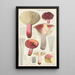 Russula secretan - Hans Baldung — kehystetty taideteos seinällä