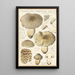 Tricholoma pardinum quelet - Hans Baldung — kehystetty taideteos seinällä