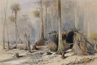 Harry Fenn - The CypressShingle Yard Ocklawaha River Florida.webp
