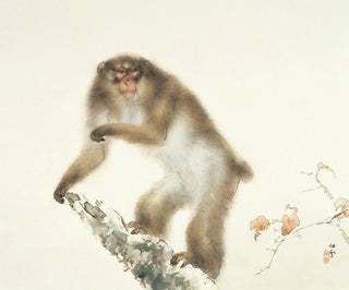 Hashimoto Kansetsu - Old Monkey with Cherry in Autumn.webp