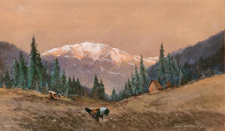 Heinrich Josef Wertheim - A capercaillie at the edge of a wood at sunset.webp