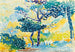 Provençaalinen maisemamaalaus - Henri-Edmond Cross — näkymä teoksesta