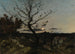 Kuunvalo Marseillen lähellä - Henri-Joseph Harpignies — näkymä teoksesta