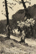Puuston luonnos - Henri-Joseph Harpignies — näkymä teoksesta