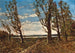 Henri-Joseph Harpignies — näkymä teoksesta