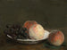 Päärynät ja viinirypäleet lautasella posliinimaljassa - Henri Fantin-Latour — näkymä teoksesta