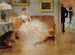 Le bal - Henri Gervex — näkymä teoksesta