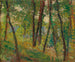 Metsänaluskohdasta - Henri Martin — näkymä teoksesta