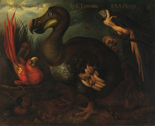 Henrik Gronvold - The Dodo and Given.webp