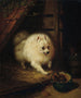 Epätoivottu tunkeilija - Henriette Ronner-Knip — näkymä teoksesta