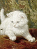 Curiosité - Henriette Ronner-Knip — näkymä teoksesta