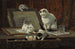 Kissanpentujen taidetunnit - Henriette Ronner-Knip — näkymä teoksesta