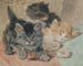 Trois chatons - Henriette Ronner-Knip — näkymä teoksesta