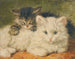 Kaksi kissaa - Henriette Ronner-Knip — näkymä teoksesta