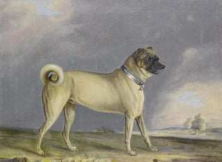 Un chien carlin - Henry Bernard Chalon — näkymä teoksesta