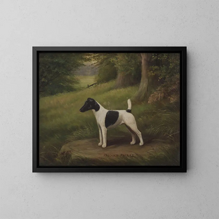 Henry Crowther - Paddock Paprika a terrier in a landscape.webp