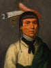 No-Tin Wind, un chef Chippewa - Henry Inman — näkymä teoksesta