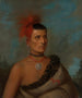 Pes-Ke-Le-Cha-Co - Henry Inman — näkymä teoksesta