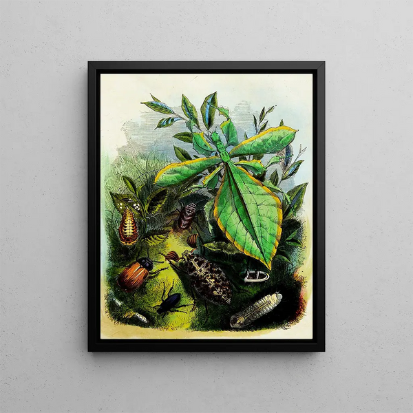 Henry Noel Humphreys - The Butterfly Vivarium or Insect home Pl 6.webp
