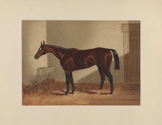 Henry Stull - Hindoo.webp