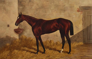 Henry Stull - Hindoo in a Stable.webp