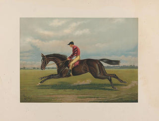 Iroquois - Henry Stull — näkymä teoksesta