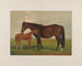 Nevada - Henry Stull — näkymä teoksesta