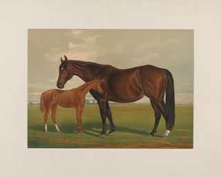 Nevada - Henry Stull — näkymä teoksesta