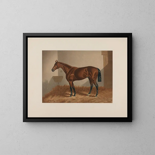 Henry Stull - Ten Broeck Bay Horse.webp